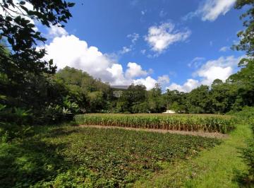 555844.jpg · Terreno - Bairro Pinheiro