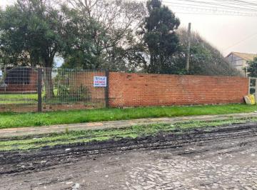 118338.jpg · Terreno - Bairro Zona Nova