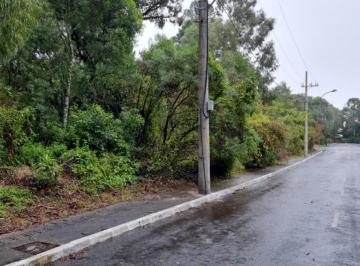 933811.jpg · Terreno - Bairro Vila Suiça