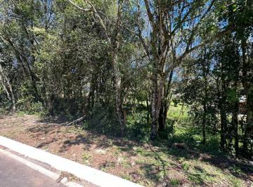 319190.jpg · Terreno - Bairro Vale dos Pinheiros