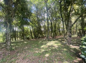 278029.jpg · Terreno em Condominio - Bairro Lagos de Gramado