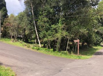 619698.jpg · Terreno - Bairro Ipê Amarelo