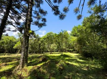 955114.jpg · Area de Terra - Bairro Carniel