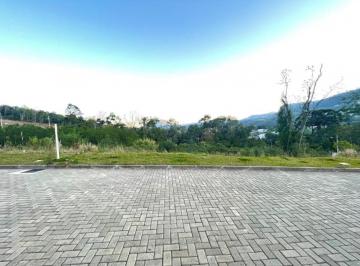 911010.jpg · Terreno - Bairro Várzea Grande