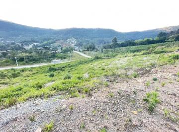 576875.jpg · Terreno - Bairro Várzea Grande
