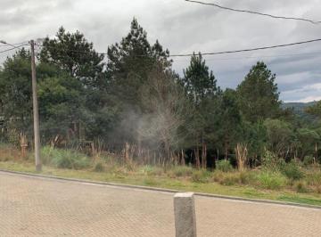 922368.jpg · Terreno - Bairro Carniel
