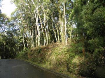 322975.jpg · Terreno - Bairro O Bosque