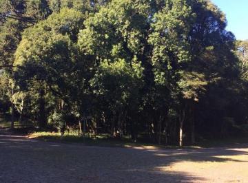 520191.jpg · Terreno - Bairro Vila Suzana