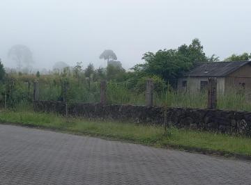 782097.jpg · Terreno - Bairro Vila Dante