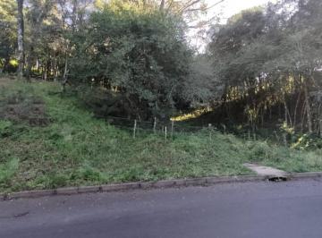949093.jpg · Terreno - Bairro Santa Terezinha