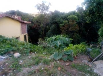 491721.jpg · Terreno - Bairro Serra Grande