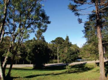 748407.jpg · Lançamentos - Bairro Saiqui