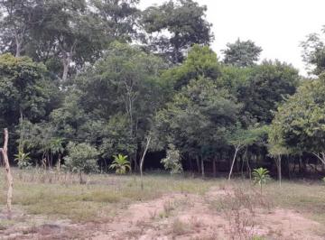 828727.jpg · Chácara - Bairro Zona Rural
