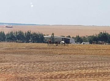 48828376273eef86cb47203e046b6483a00be194 · Fazenda à venda, 177310 m² - Zona Rural - Água Boa/MT