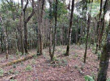 Terreno · 2365m² · Terreno à venda - em Monte Verde