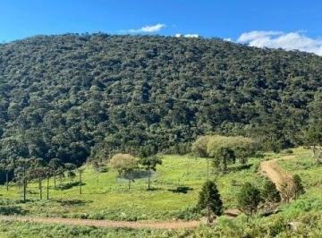 Terreno · 20000m² · Terreno à venda no bairro Centro - Urubici/SC