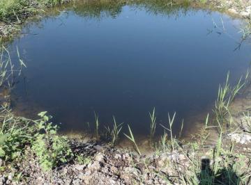 Terreno de 1 quarto, Cachoeiras de Macacu · Terreno ( Lote) em Cachoeiras de Macacu - RJ 116