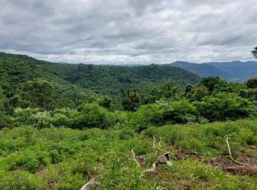 Terreno · 18000m² · Área de terra bairro Scheiblin, Linha Nova.RS