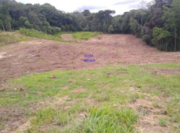 Foto 06 · TERRENO 5.000 M² FRENTE PARA ÁREA URBANA, ICA A 500 MT DA RODOVIA DO XISTO ESCRITURA E REGISTRO, MAT