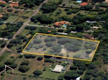 Terreno , Brasília · 12.000 M² SMDB Conj. 30