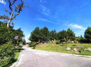 Terreno · 640m² · Terreno à venda por R$ 480.000 - Mato Queimado - Gramado/RS