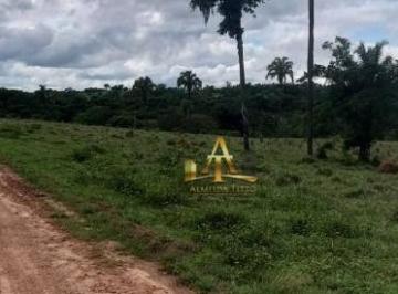 d2f49bbfd8d29bcd2349635159ae3ee3e3e10712 · Fazenda à Venda - Zona Rural - Paraiso Das Águas/MS