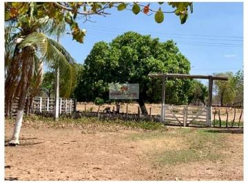 79e7b72411349a400b4084639d4fb1bf.jpg · Fazenda com 900 hectares