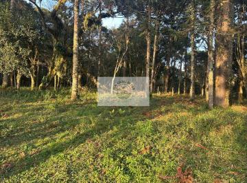 Rural · 8310m² · 1 Quarto · 1 Vaga · Sítio com 8.310 m², no Lajeado, apenas 300 metros do asfalto, aceita financiamento