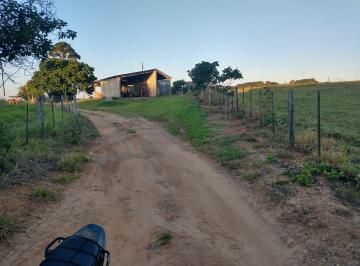 Foto 01 · Fazenda 99 Alqueires  Formada em Lavoura e Pecuária  Terra Vermelha a Mista   Topografia Plana a lev