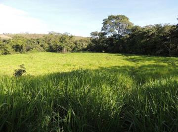 Rural de 2 quartos, São Sebastião · CHÁCARA, SÃO SEBASTIÃO, 2 HECTARES, COM CASA , CHURRASQUEIRA E PISCINA