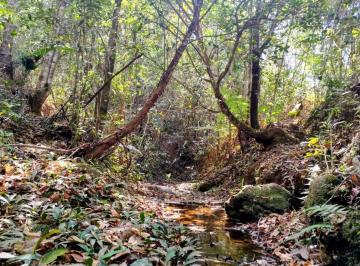 Rural , Brasília · Chácara com 2 Hectares localizada dentro de um vale maravilhoso com córrego