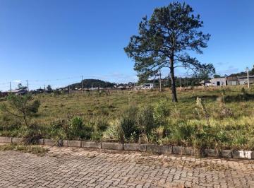 149763.jpg · Terreno - Bairro Vila São João
