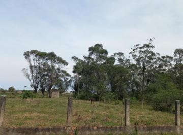 815291.jpg · Terreno - Bairro Salinas