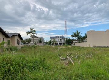 163139.jpg · Terreno - Bairro Bellatorres