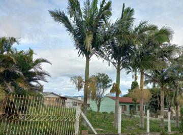 393255.jpg · Terreno - Bairro Vila São João