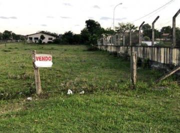 931960.jpg · Terreno - Bairro Campo Bonito