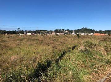 465669.jpg · Terreno - Bairro Vila São João
