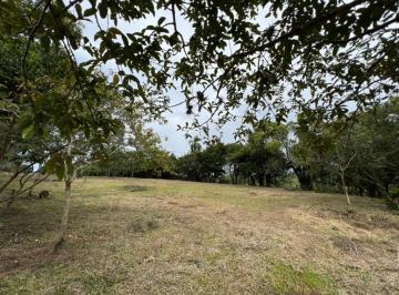 388682.jpg · Terreno - Bairro Passo de Torres