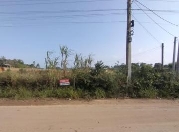 362446.jpg · Sítio - Bairro Curralinhos