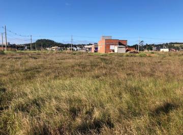 302842.jpg · Terreno - Bairro Vila São João