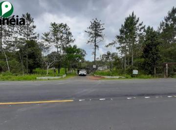 Foto 60 · Sitio 3,50 alqueires - Cananéia / SP - disponível para venda