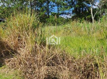 terreno a venda no condominio jardim colonial · Terreno à venda - na Granja Viana