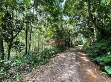 29372511_g.jpg · 
                                 ÁREA COM 50.000 m² PLANTADO COM EUCALIPTO
                        