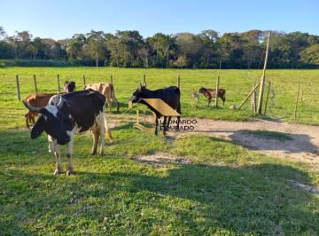 Foto 01 · Fazenda, Porto Seguro, Porto Seguro, BA