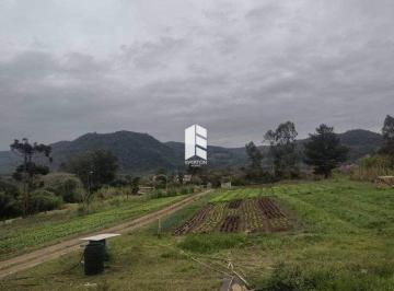 Rural · 100ha · 3 Quartos · Rurais à venda - em Campestre do Menino Deus