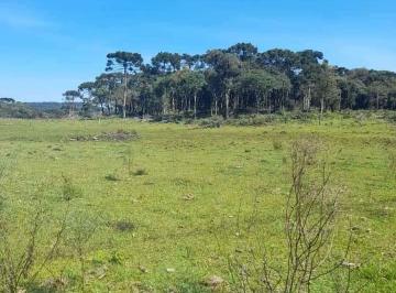 Rural , Bocaína do Sul · Terreno Rural em Bocaina do Sul 91,2 hectares