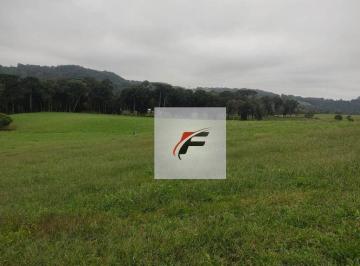 4ce711fc58c8a44ded0177bfbac90b8c1bc462f1 · Terreno à venda, 42700 m² por R$ 21.000.000,00 - Umbará - Curitiba/PR