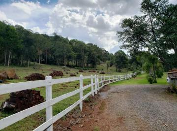 957272.jpg · Sitio - Bairro Carazal
