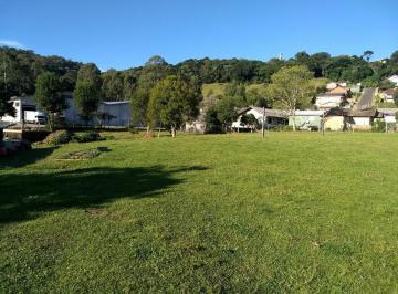 146001.jpg · Area - Bairro Floresta