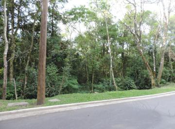 702400.jpg · Terreno - Bairro Centro